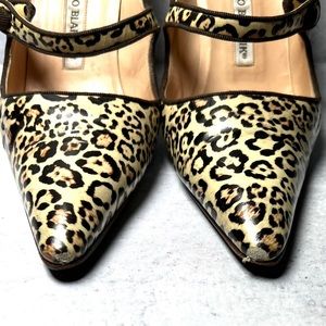 Manolo Blahnik Campari Mary Jane in patent leopard.